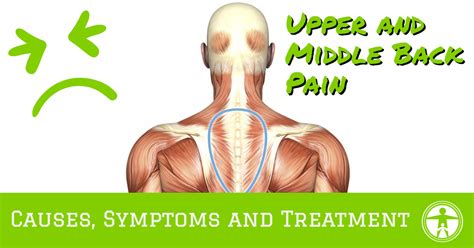 back and spine near freedom|Upper Right Back Pain: Causes, Symptoms, and Treatments.